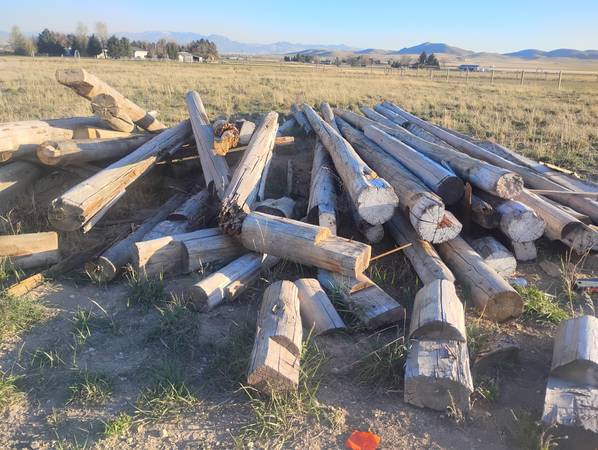 Reclaimed logs/boards 1