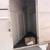 1996 Two Horse Trailer 5 thumbnail