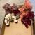 Bears 5 thumbnail