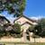 2 BED/2BATH😍 HALF OFF FIRST MONTH'S RENT🌼🌷BEAUTIFUL PROPERTY 1 thumbnail