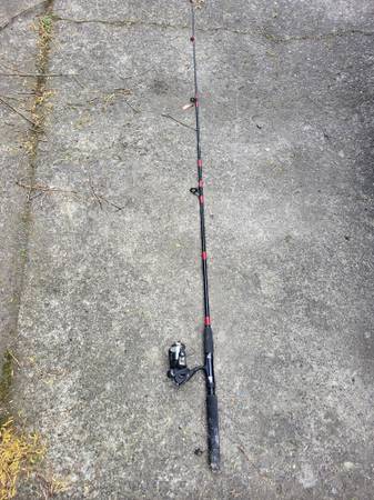 Fishing pole and real 1
