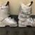 Salomon Charm Ski boots Mondo size 24.5 (6 Men, 7 Women) 2 thumbnail