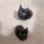 10 week old kittens 4 thumbnail