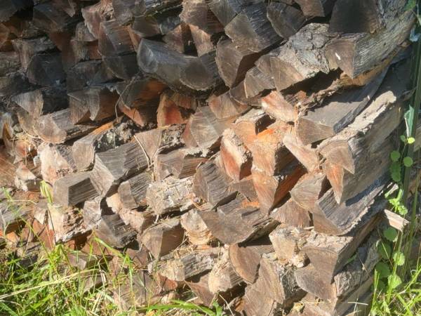 Fireplace wood 1