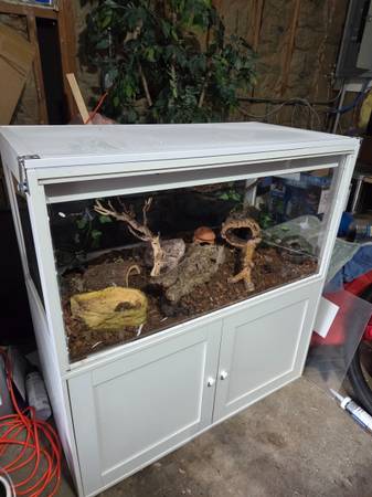Jaula para reptiles rebajada $