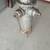 Vintage fire hydrant 1 thumbnail