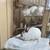 Rabbits 8 thumbnail