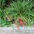 Planters large and deck railing, garden supplies 14 thumbnail