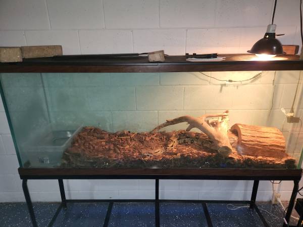 Boa de cola roja de 7 pies con tanque de 150 galones y soporte (West Allis)