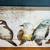 Bird Themed Artwork on Stretched Canvas 48" x 18" 2 thumbnail