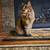 Missing cat 2 thumbnail