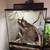 Reptiles 3 thumbnail