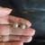 Light Gray Akoya Pearl in 14K Yellow Gold Studs Earrings 2 thumbnail