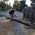 **TREE SERVICES, FENCE, ROOF, & GUTTER REPAIR 4 CHEAP** 6 thumbnail