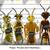 Bee Wasp Removal. 2 thumbnail