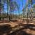 Mulching/Land Clearing/Tree Removal/Ponds etc. 9 thumbnail