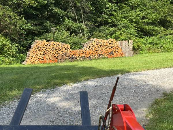 Cheap Firewood – 18” pieces ready to go or cut your own 1