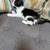 Kitten 3 thumbnail
