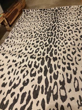 8x10 Indoor/ Outdoor Carpet 1