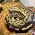 rehoming ball python with tank, lights, accessories 1 thumbnail