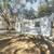 Charming 3-Bedroom Home in Prime Location near Robins AFB 3 thumbnail
