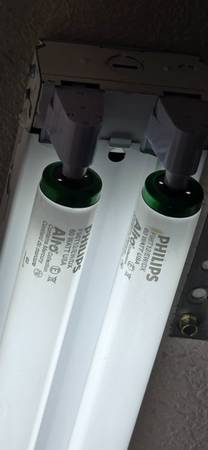 8x florescent bulbs, 60w, single pin, 5000 lumens 1