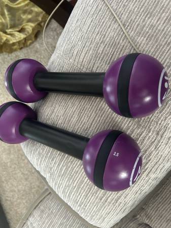 2.5 zumba weights 1