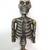 Group of Whimsical Victorian Mad Scientist Halloween Decorations 3 thumbnail