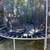 Fee Trampoline 3 thumbnail
