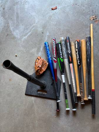 ALL baseball bats, glove etc for $60 1