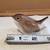 Bird and Bunny Figurines 5 thumbnail