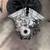 HONEST AUTO MECHANIC DON'T WASTE YOUR MONEY!!! CALL ME FOR BEST PRICE! 21 thumbnail