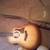 Two Taylor guitars 3 thumbnail