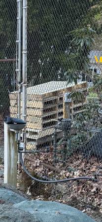 Free pallets 1