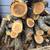 Lot of Apple Wood for Smoking (Unseasoned, Needs Splitting, Etc.) 2 thumbnail
