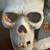 Gothic Raven Crow Bird Perching on Stacked Skulls with LED Night Light 6 thumbnail