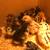 Chicks 1 thumbnail