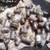 77 Black Pipe Fittings 8 thumbnail