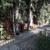 Beautiful 1/1 like a little house. Great Area in WeHo. HUGE! 13 thumbnail