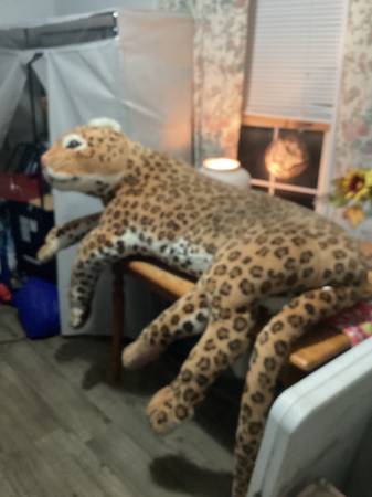 Free leopard 1