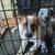 Free heeler puppies 9 weeks 3 thumbnail