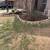 M&M LANDSCAPING & STONE FLOWERBED SERVICES-FREE QUOTES- 4 thumbnail