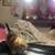 Female Tabby Kitten 3 thumbnail