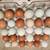 Chicken, Quail & Duck Fertilized Hatching Eggs 4 thumbnail
