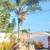 `☆`Stump Grinding`☆` Palms Trimming `☆` Tree Removed `☆` Tree Trimming 14 thumbnail