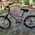 Raleigh 20" kids bike 2 thumbnail