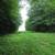 13 Acres Wooded Residential  Lots 7 thumbnail
