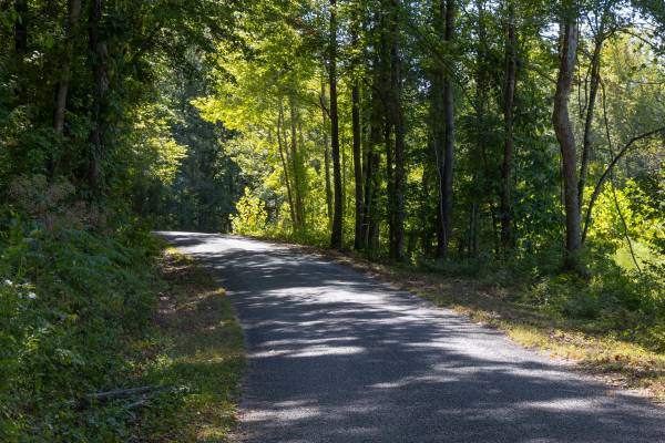 $62,071 / 620730ft2 - $389/mo 14.25 acre lot with paved road access (FSBO)(land for sale) (Clifton)63879905307267122