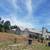 TREE REMOVAL TREE TRIMMING TREE SERVICE STUMP GRINDINGS LANDSCAPE 5 thumbnail