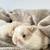 Bunny 4 thumbnail